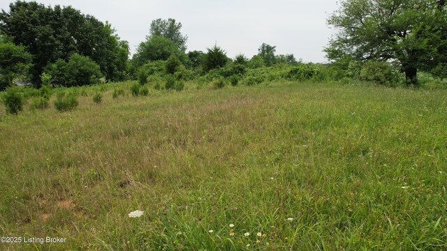 0 Upton Rd, Upton, KY 42784 - photo 15