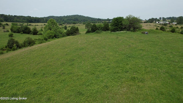0 Upton Rd, Upton, KY 42784 - photo 29