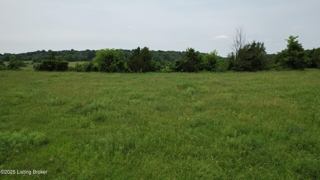 0 Upton Rd, Upton, KY 42784 - photo 47