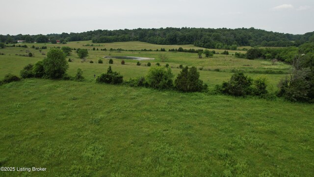 0 Upton Rd, Upton, KY 42784 - photo 50