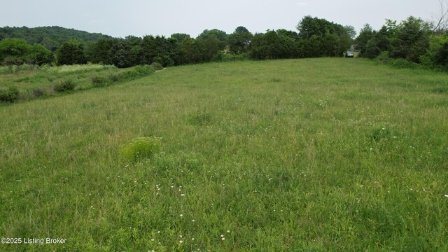 0 Upton Rd, Upton, KY 42784 - photo 59