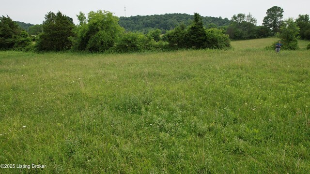 0 Upton Rd, Upton, KY 42784 - photo 61