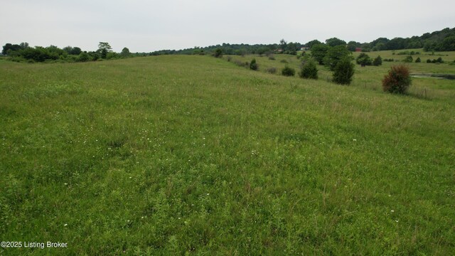 0 Upton Rd, Upton, KY 42784 - photo 63