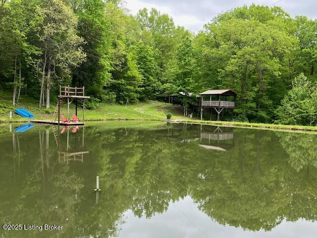 1300 Midway Ln, Springfield, KY 40069 - photo 69