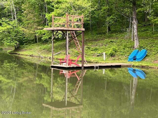 1300 Midway Ln, Springfield, KY 40069 - photo 71