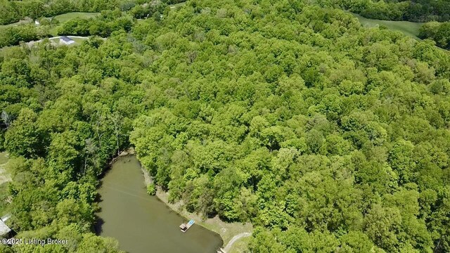 1300 Midway Ln, Springfield, KY 40069 - photo 84