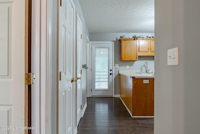 6102 Dalia Ct, Louisville, KY 40272 - kitchen featuring light countertops, a textured ceiling, dark wood-type flooring, and brown cabinetry