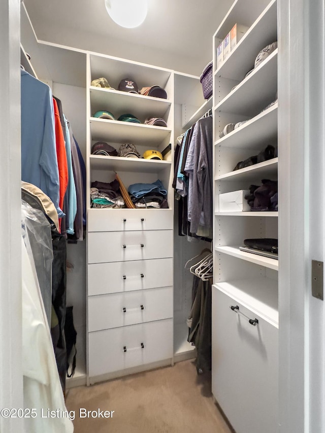 17217 Mallet Hill Dr, Louisville, KY 40245 - spacious closet featuring light carpet