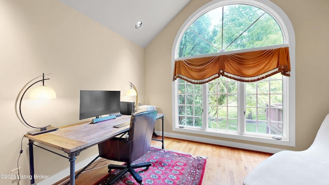 17217 Mallet Hill Dr, Louisville, KY 40245 - home office featuring lofted ceiling, plenty of natural light, and wood finished floors