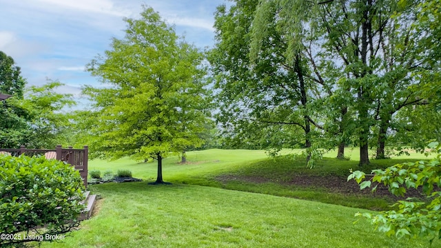 17217 Mallet Hill Dr, Louisville, KY 40245 - view of grassy yard featuring view of scattered trees and a deck