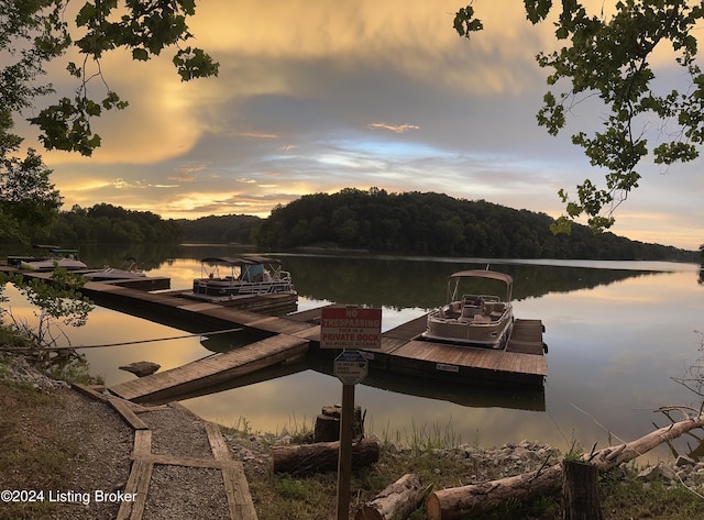 2773 Martin Pierce Rd, Cub Run, KY 42729 - dock area featuring a water view and a forest view