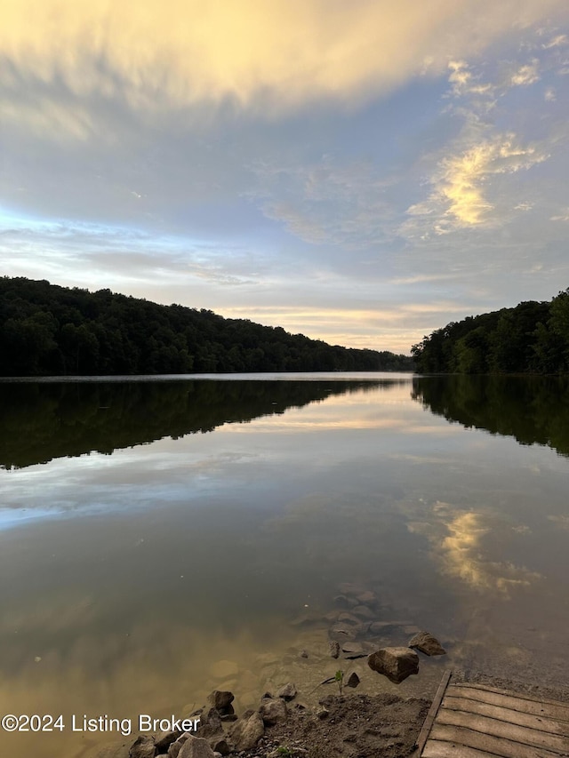 2773 Martin Pierce Rd, Cub Run, KY 42729 - water view featuring a heavily wooded area