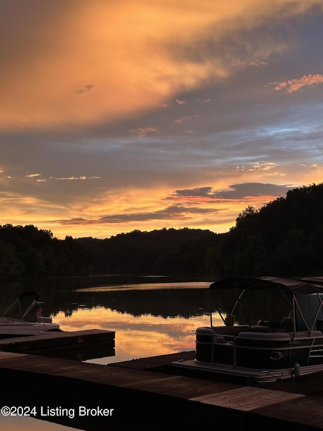 2773 Martin Pierce Rd, Cub Run, KY 42729 - water view featuring a boat dock