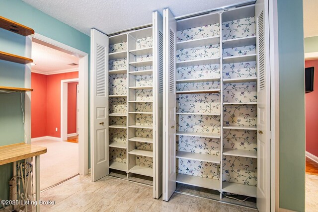107 Westwood Dr, Elizabethtown, KY 42701 - view of spacious closet