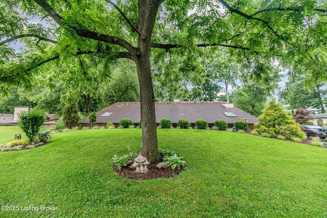 4906 Roman Dr, Louisville, KY 40291 - view of green lawn