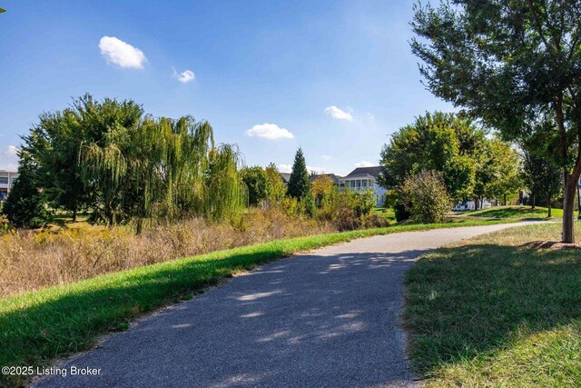 6322 Mistflower Cir, Prospect, KY 40059 - photo 58