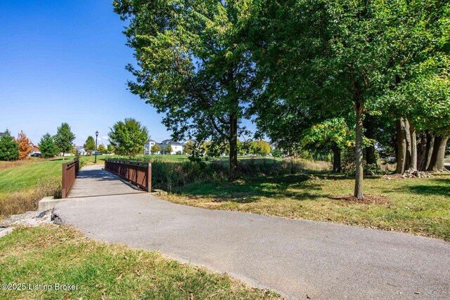 6322 Mistflower Cir, Prospect, KY 40059 - photo 57