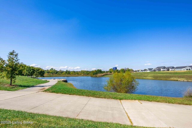 6322 Mistflower Cir, Prospect, KY 40059 - photo 55