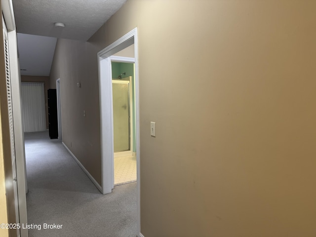 487 Piping Rock Rd, Brandenburg, KY 40108 - corridor with light carpet and a textured ceiling