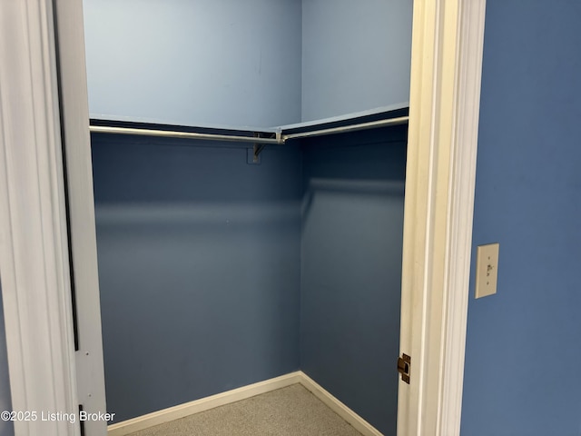 487 Piping Rock Rd, Brandenburg, KY 40108 - walk in closet with carpet