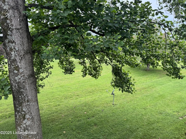 487 Piping Rock Rd, Brandenburg, KY 40108 - view of green lawn