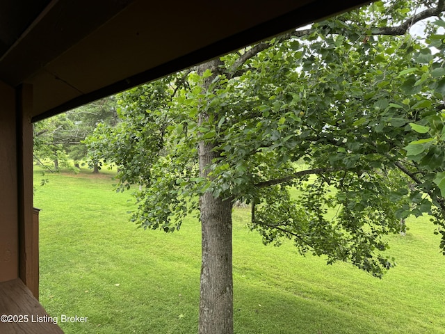 487 Piping Rock Rd, Brandenburg, KY 40108 - view of grassy yard