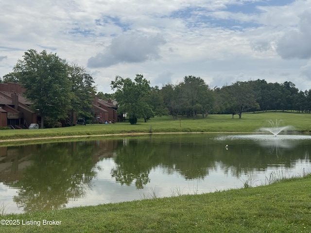 487 Piping Rock Rd, Brandenburg, KY 40108 - water view