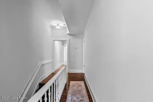 1129 S Brook St # 4, Louisville, KY 40203 - corridor with dark wood-type flooring