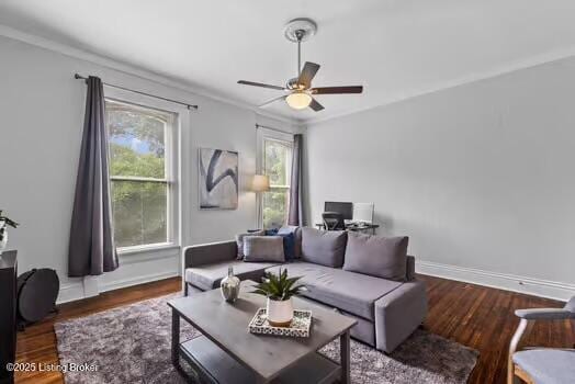 1129 S Brook St # 4, Louisville, KY 40203 - living room with ceiling fan, wood finished floors, and crown molding