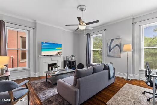 1129 S Brook St # 4, Louisville, KY 40203 - living area featuring wood finished floors, a ceiling fan, crown molding, and a fireplace