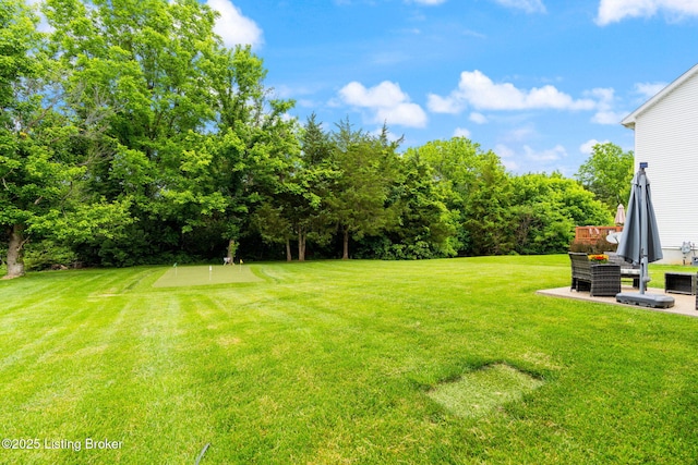 17804 Birch Bend Cir, Fisherville, KY 40023 - view of green lawn with a putting area and a patio