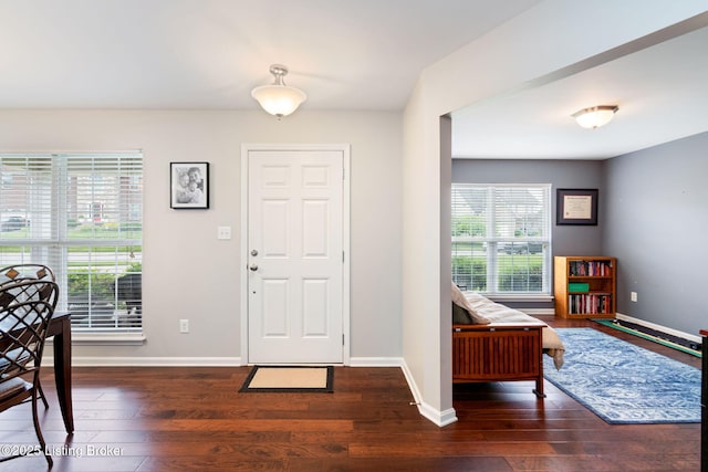 17804 Birch Bend Cir, Fisherville, KY 40023 - entryway featuring wood finished floors