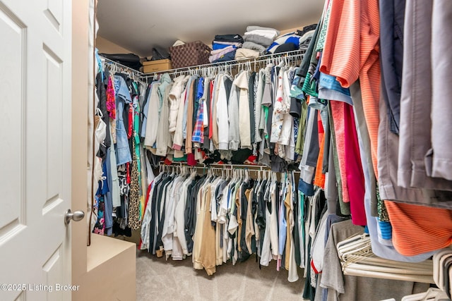 17804 Birch Bend Cir, Fisherville, KY 40023 - walk in closet with carpet