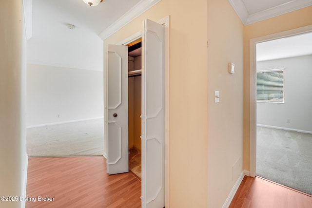 161 Thierman Ln Apt 1E, Louisville, KY 40207 - hall featuring crown molding, wood finished floors, and carpet
