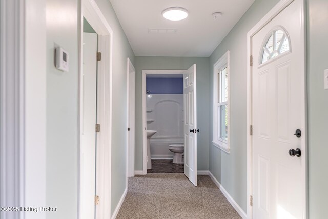297 Benson Pike, Shelbyville, KY 40065 - photo 24