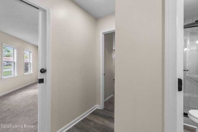 4045 Glenhurst Ave, Louisville, KY 40216 - photo 31