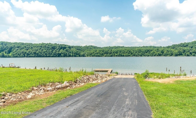 1908 Landing Rd, Prospect, KY 40059 - water view featuring a heavily wooded area and a dock