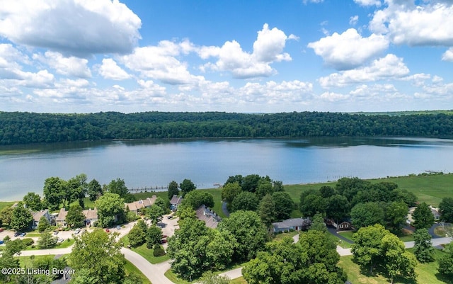 1908 Landing Rd, Prospect, KY 40059 - bird's eye view of a large body of water and a forest