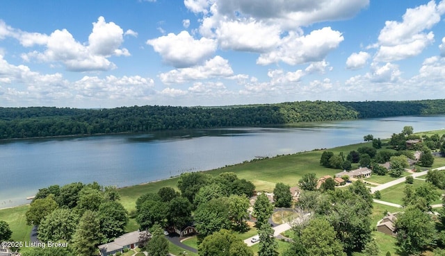 1908 Landing Rd, Prospect, KY 40059 - water view featuring a forest