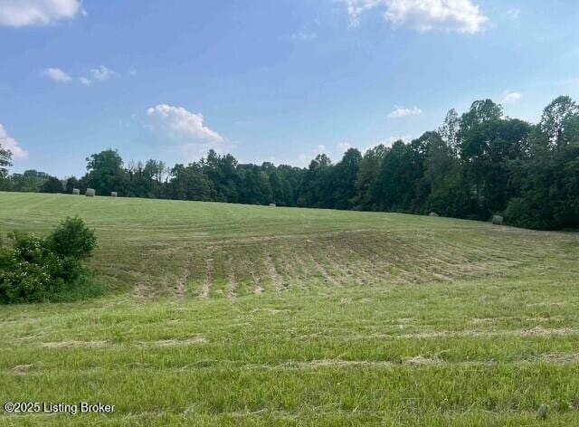 2 Mount Pleasant Rd, Bedford, KY 40006 - photo 3