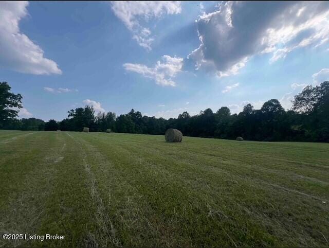 2 Mount Pleasant Rd, Bedford, KY 40006 - photo 4