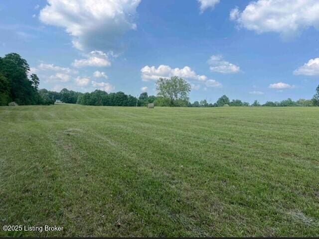 2 Mount Pleasant Rd, Bedford, KY 40006 - photo 5