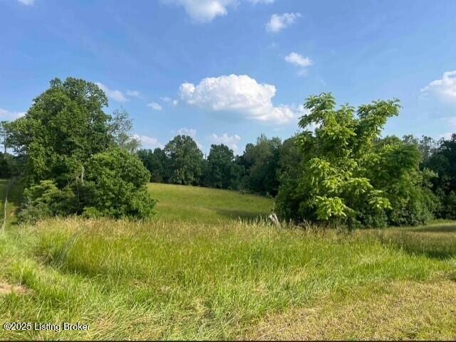 2 Mount Pleasant Rd, Bedford, KY 40006 - photo 7