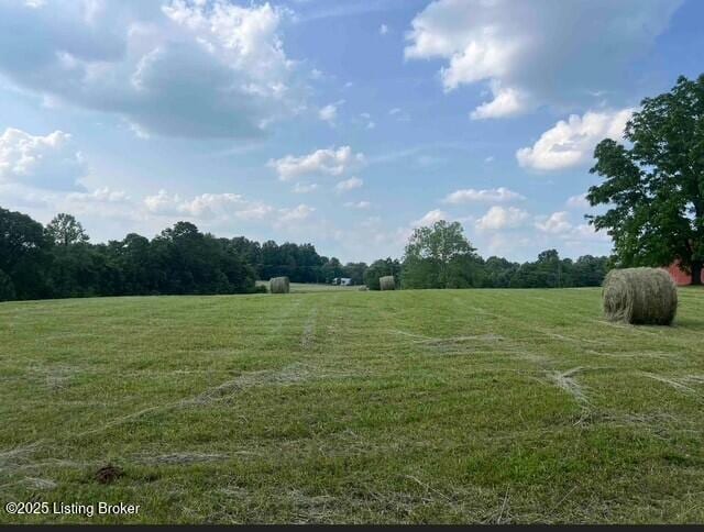 2 Mount Pleasant Rd, Bedford, KY 40006 - photo 8
