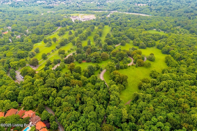 2144 Baringer Ave, Louisville, KY 40204 - bird's eye view of a heavily wooded area