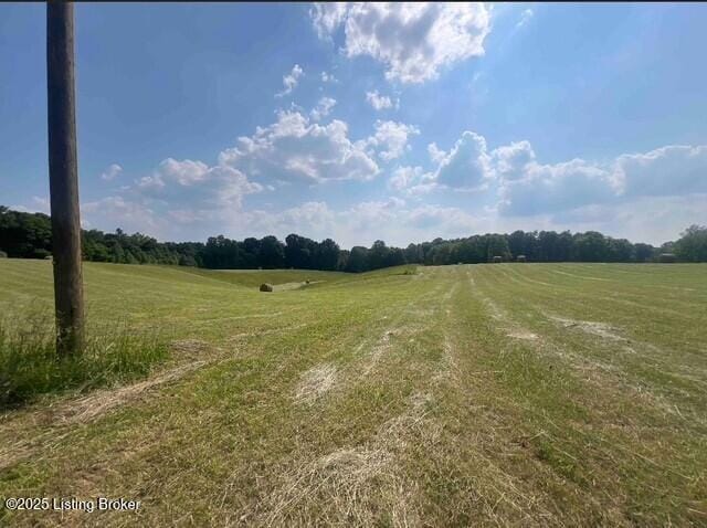 4 Hackney Ln, Bedford, KY 40006 - photo 2