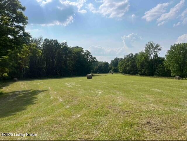 4 Hackney Ln, Bedford, KY 40006 - photo 3