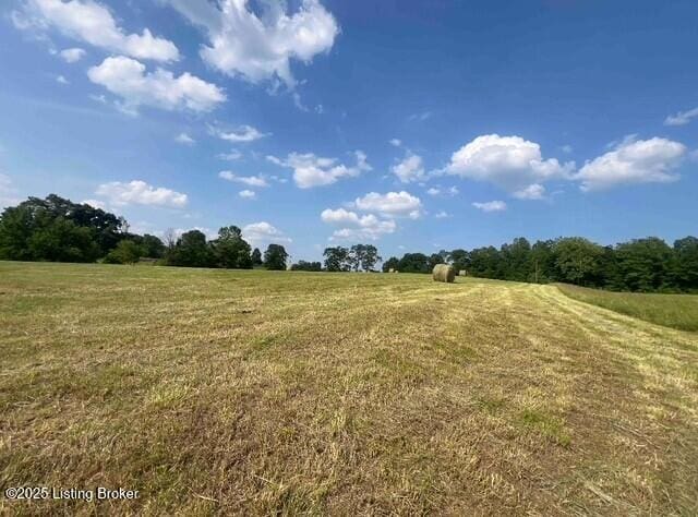 4 Hackney Ln, Bedford, KY 40006 - photo 4