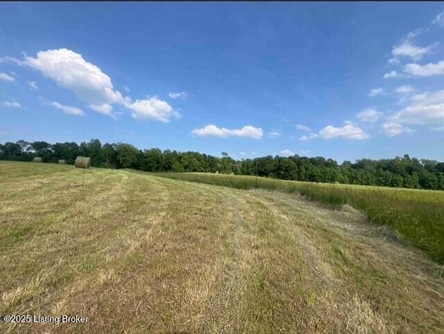 4 Hackney Ln, Bedford, KY 40006 - photo 5