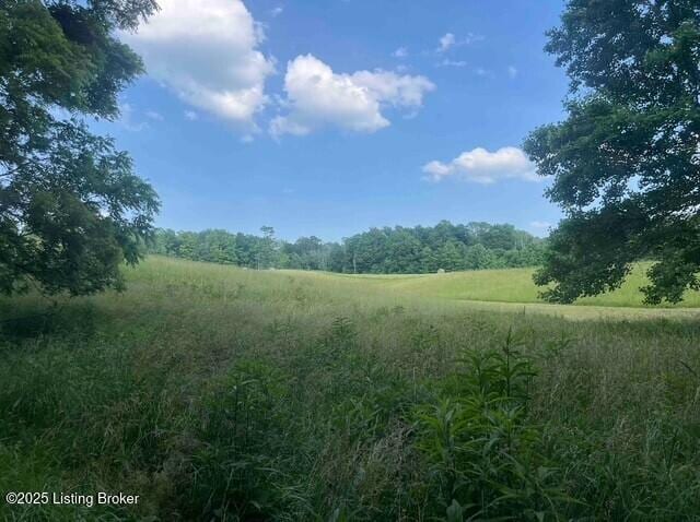 4 Hackney Ln, Bedford, KY 40006 - photo 6